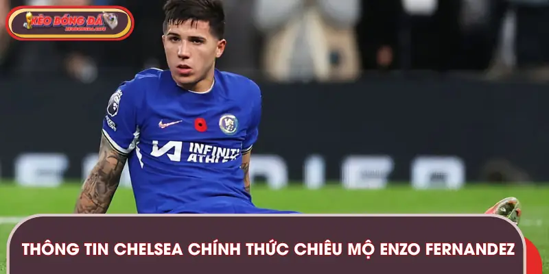 Thông tin về vụ Chelsea chính thức chiêu mộ Enzo Fernandez